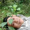 dya3u88gwf3k