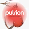 pulion221