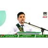 syedmuhammad688
