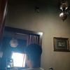 jadalhassanieh60