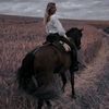 equestrian_._1