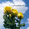 user124012958853671122
