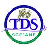 tds_3e