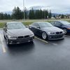 pimpalaboyy3.8