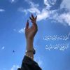 ghadaaboelyousser