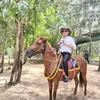 doxuanthinh75