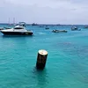 theflyoneb