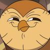 hooty_hoot1