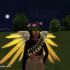grazi_kitty0