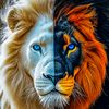 leo____r7