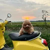 nguyedfmxle