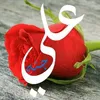 zedail2