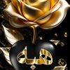 hebaanwar981