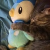 piplupnani