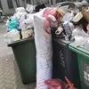 peidromesmo