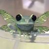 komorebifrogg