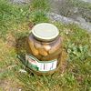 tricobicofriend