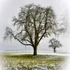 lucky_13_pics