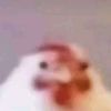 __pablo228__1
