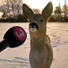 royalekidk