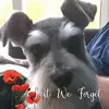 twizzysky13