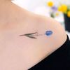 butterflynoe29