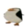 pan.volad0r2