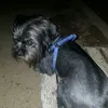 aleyinducha