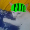 shynal_27