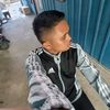 dore337