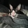 courtney_veras1