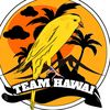 teamhawai_sidoarjo