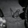eutratante