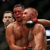 fighterei