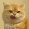 meemeewahin