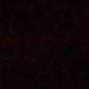 _tyler_313