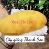 anhxuan1990186