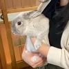 nnohito
