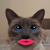 giaphatcute