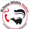 wildlifehotline