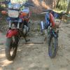 suningsih18