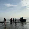 minhquan293_