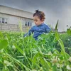 hemnkurdi5