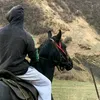 ahmad77585