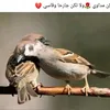user5741016757270