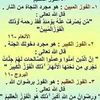 habib40518