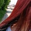 user3363662993584