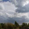 bpatyxa.42