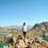 apiswanderer