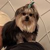 marynegrete46